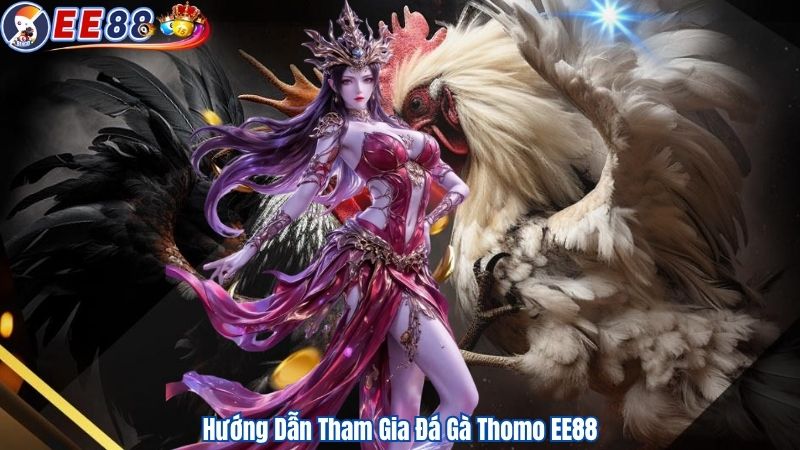 Hướng Dẫn Tham Gia Đá Gà Thomo EE88