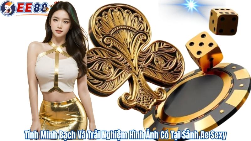 Tính Minh Bạch Và Trải Nghiệm Hình Ảnh Có Tại Sảnh Ae Sexy